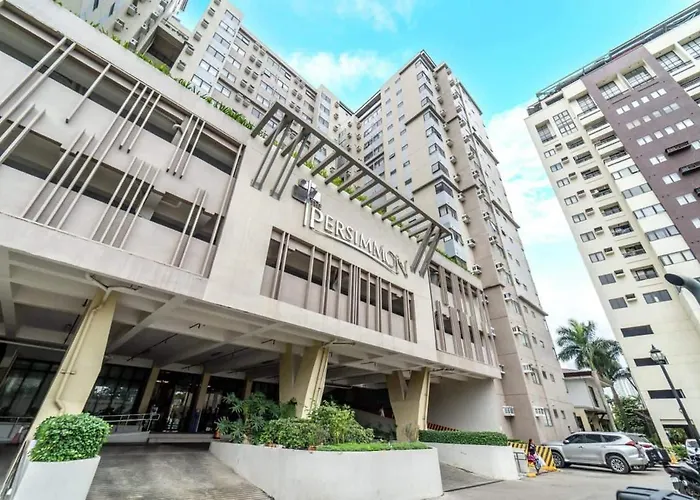 Apartment - Wifi Up To 100mbps - Infinity Pool Cebu
